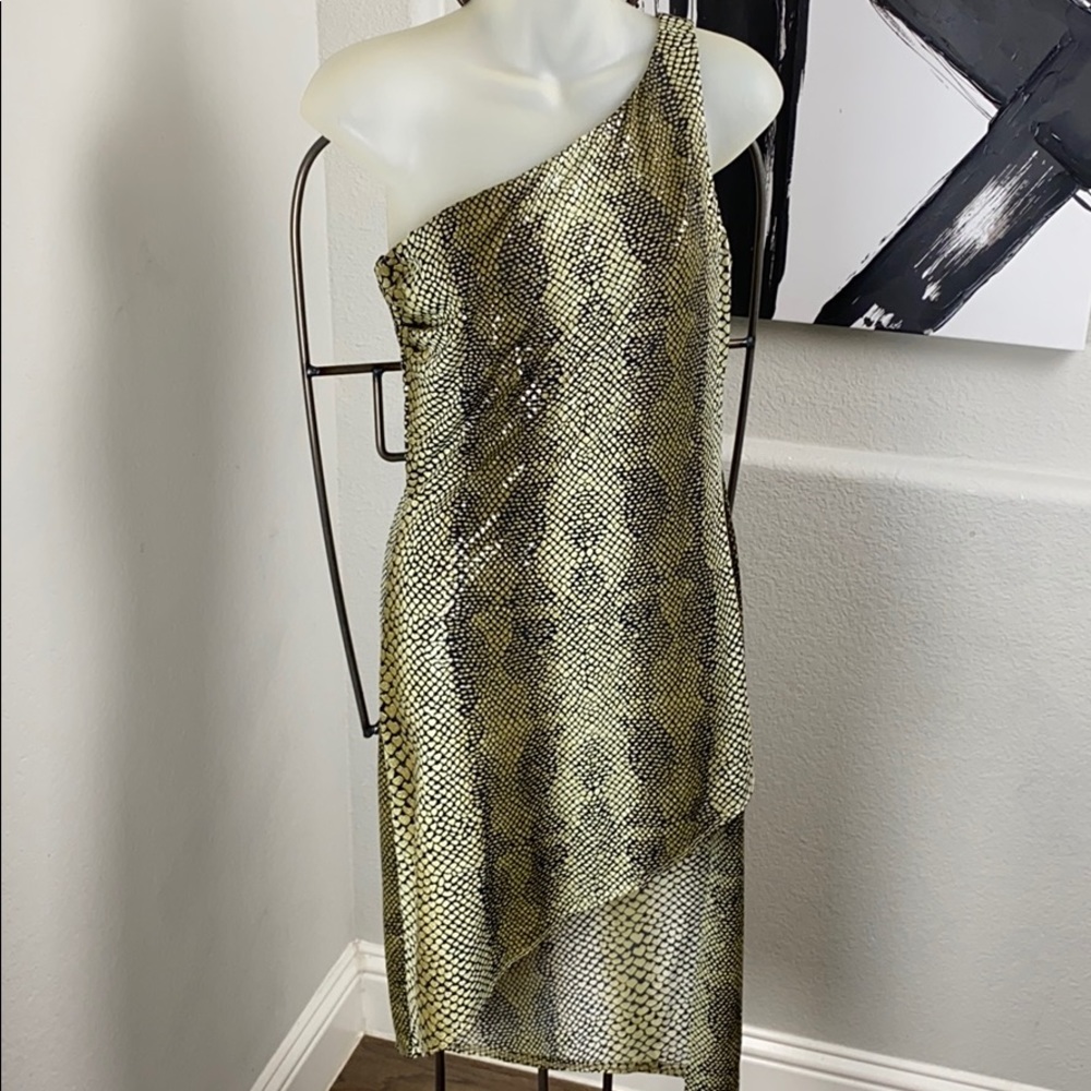 Sabora evening dress
